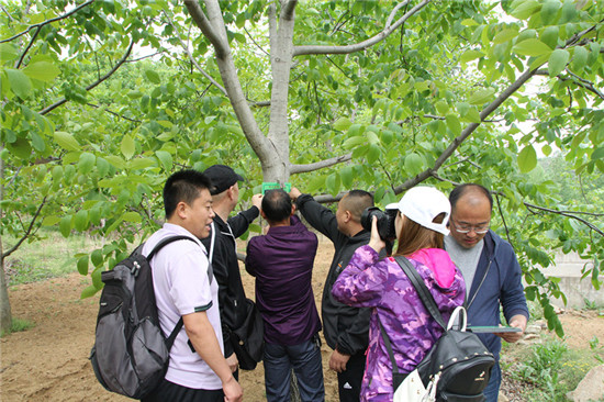 1577086216130773.jpg 12.jpg